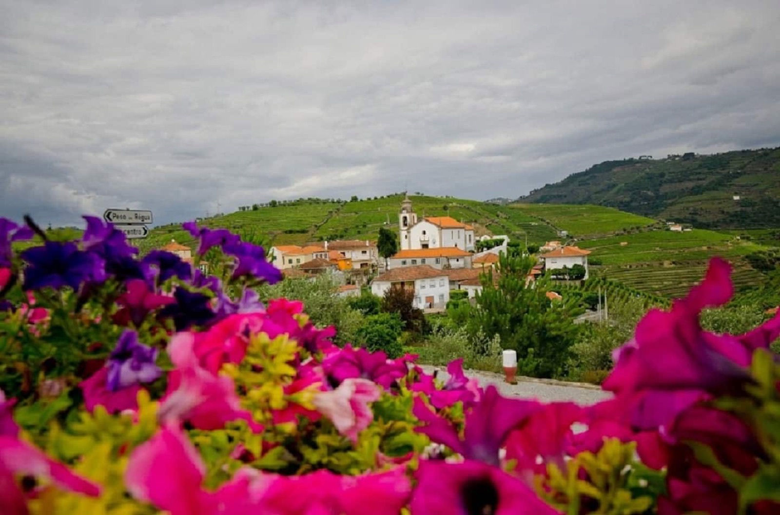 Vista sobre as vinhas e a aldeia